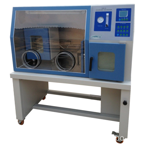 Incubadora de laboratório termostático de laboratório YQX-II